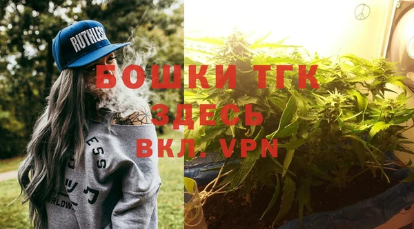 дживик Аркадак