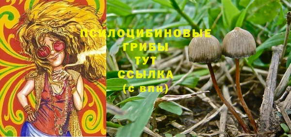 дживик Аркадак