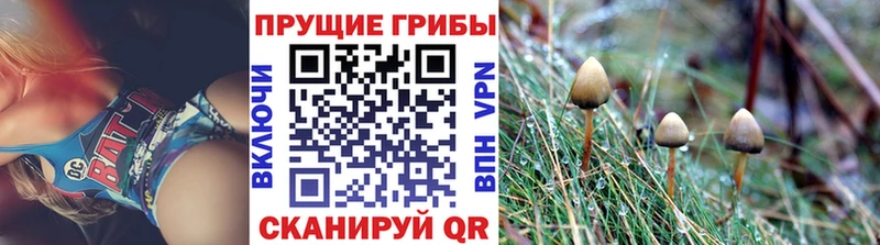Галлюциногенные грибы мицелий  купить закладку  МЕГА ONION  Ялуторовск 