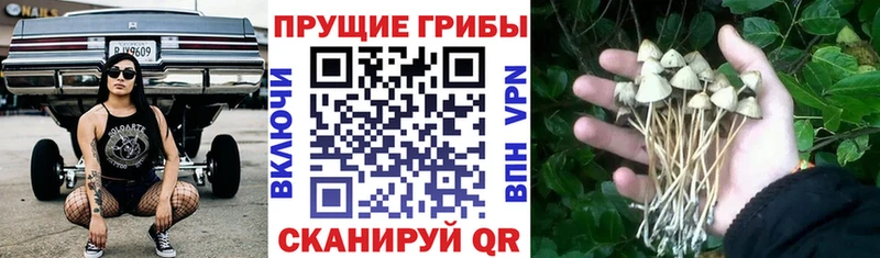 Галлюциногенные грибы ЛСД Ялуторовск